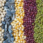 半自動計量充填包装機